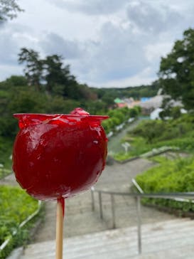 西武園ゆうえんちに投稿された画像（2021/6/23）