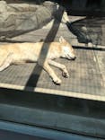 天王寺動物園に投稿された画像（2021/6/23）