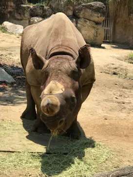 天王寺動物園に投稿された画像（2021/6/23）