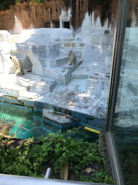 天王寺動物園に投稿された画像（2021/6/23）