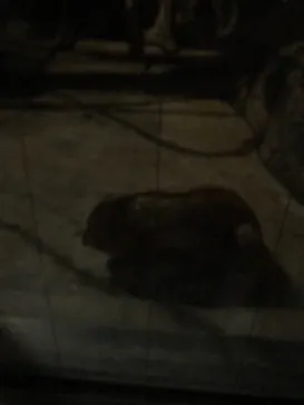 天王寺動物園に投稿された画像（2021/6/23）