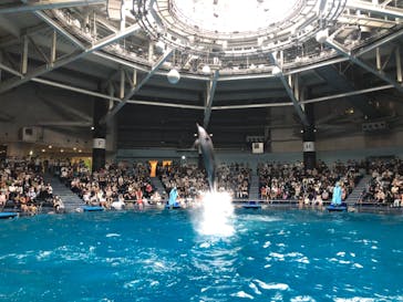 マクセル アクアパーク品川に投稿された画像（2021/6/23）