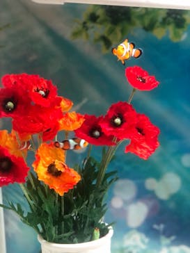 マクセル アクアパーク品川に投稿された画像（2021/6/23）