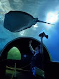 串本海中公園水族館に投稿された画像（2021/6/23）