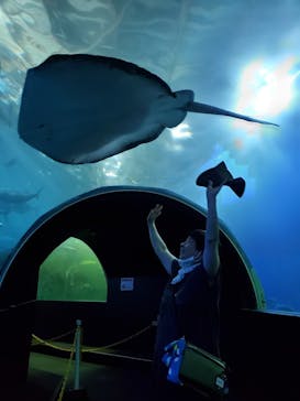 串本海中公園水族館に投稿された画像（2021/6/23）