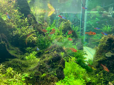 すみだ水族館に投稿された画像（2021/6/23）