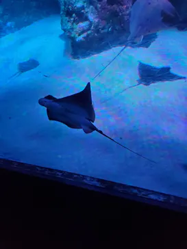 横浜・八景島シーパラダイスに投稿された画像（2021/6/23）