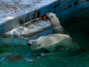 天王寺動物園に投稿された画像（2021/6/24）