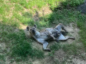 天王寺動物園に投稿された画像（2021/6/24）