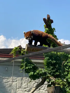 天王寺動物園に投稿された画像（2021/6/24）
