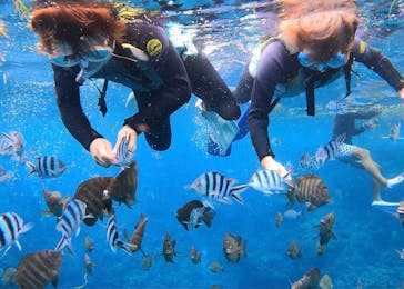 DIVING-SHOP SUNSに投稿された画像（2021/6/24）