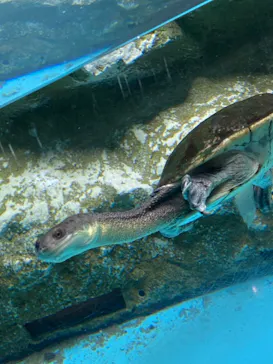 天王寺動物園に投稿された画像（2021/6/24）