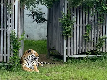 天王寺動物園に投稿された画像（2021/6/24）