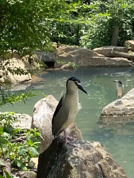 天王寺動物園に投稿された画像（2021/6/24）