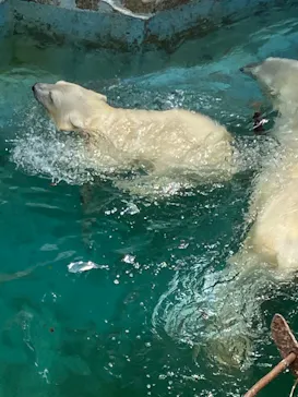 天王寺動物園に投稿された画像（2021/6/24）