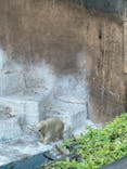 天王寺動物園に投稿された画像（2021/6/24）