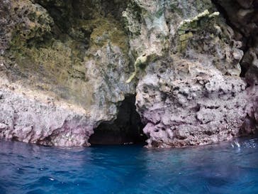 MalDive（モルダイブ）に投稿された画像（2021/6/24）