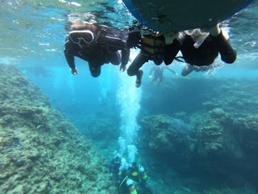 MalDive（モルダイブ）に投稿された画像（2021/6/24）