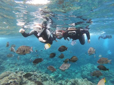 MalDive（モルダイブ）に投稿された画像（2021/6/24）