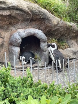 サンシャイン水族館に投稿された画像（2021/6/25）