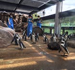 京都水族館に投稿された画像（2021/6/25）