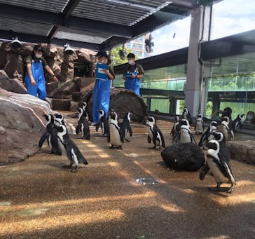 京都水族館に投稿された画像（2021/6/25）