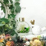 ずこうしつ〜sugamo〜に投稿された画像（2021/6/25）