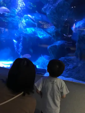 すみだ水族館に投稿された画像（2021/6/25）