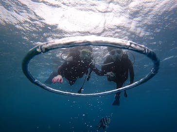 青の洞窟専門店　沖縄ダイビングショップ和に投稿された画像（2021/6/25）