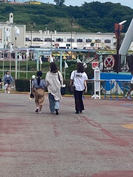 グリーンランドに投稿された画像（2021/6/25）