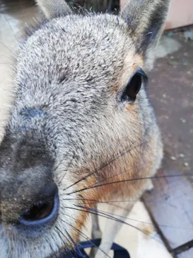 横浜・八景島シーパラダイスに投稿された画像（2021/6/25）