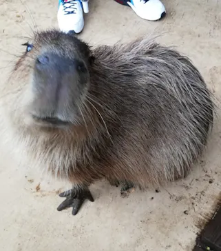 横浜・八景島シーパラダイスに投稿された画像（2021/6/25）
