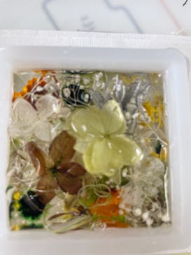 ずこうしつ〜sugamo〜に投稿された画像（2021/6/26）