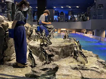 すみだ水族館に投稿された画像（2021/6/26）