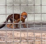天王寺動物園に投稿された画像（2021/6/26）