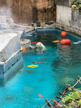 天王寺動物園に投稿された画像（2021/6/26）