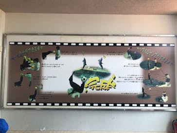 京急油壺マリンパークに投稿された画像（2021/6/26）