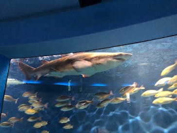 京急油壺マリンパークに投稿された画像（2021/6/26）