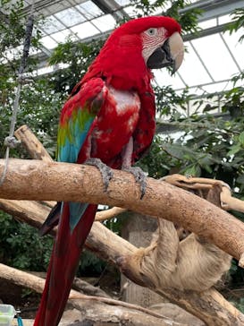 神戸どうぶつ王国に投稿された画像（2021/6/26）