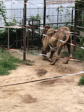 天王寺動物園に投稿された画像（2021/6/26）