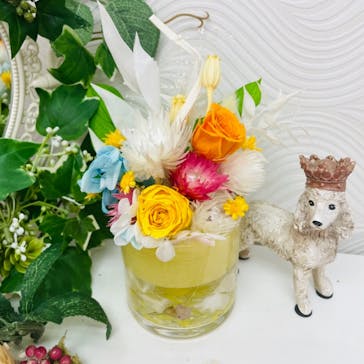 ずこうしつ〜sugamo〜に投稿された画像（2021/6/26）