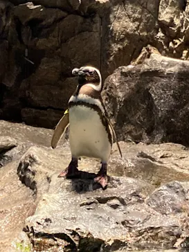 すみだ水族館に投稿された画像（2021/6/26）