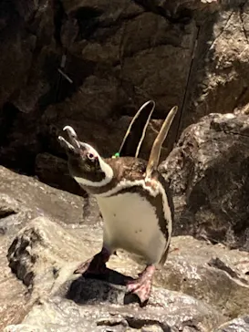 すみだ水族館に投稿された画像（2021/6/26）