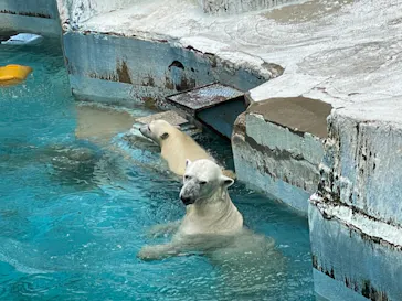天王寺動物園に投稿された画像（2021/6/26）