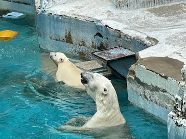 天王寺動物園に投稿された画像（2021/6/26）