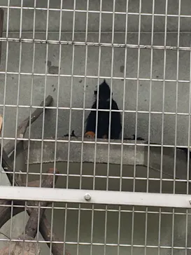 天王寺動物園に投稿された画像（2021/6/26）