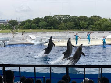 京都水族館に投稿された画像（2021/6/26）