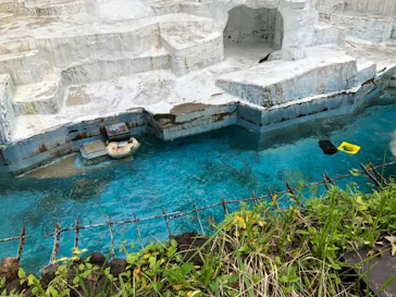 天王寺動物園に投稿された画像（2021/6/26）