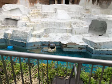 天王寺動物園に投稿された画像（2021/6/26）