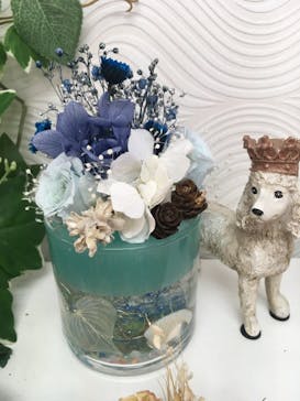 ずこうしつ〜sugamo〜に投稿された画像（2021/6/26）